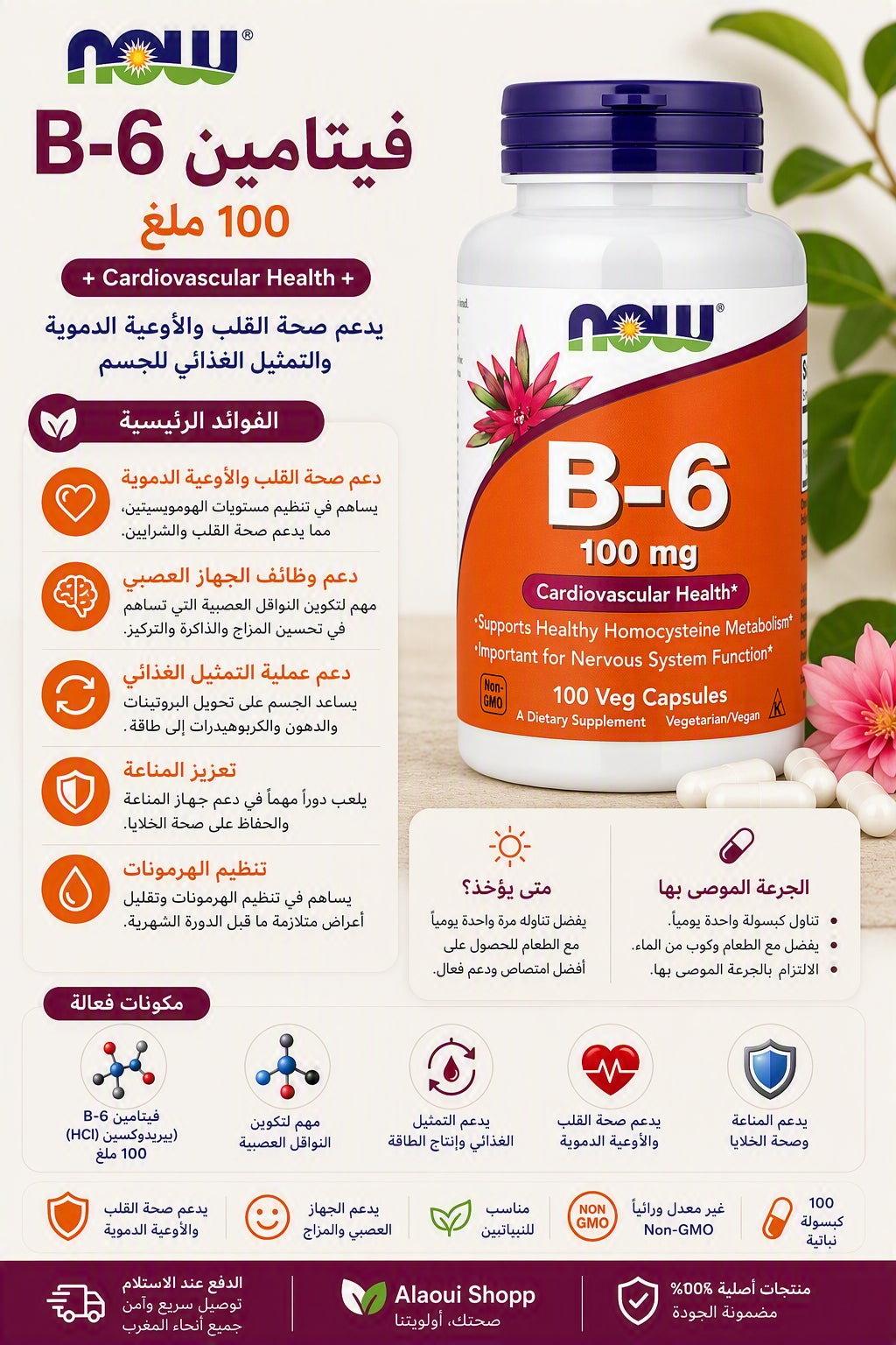 NOW Foods Vitamine B-6 100 mg – 100 capsules végétales – informations complémentaires