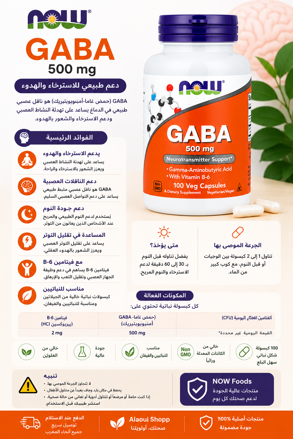 NOW Foods GABA 500 mg + Vitamin B-6 – 100 Veg Capsules – informations complémentaires
